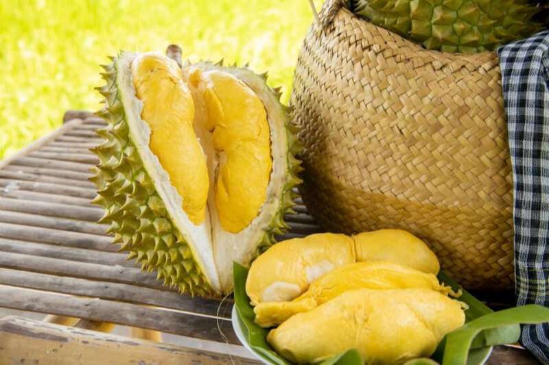 ăn sầu riêng có tác dụng gì