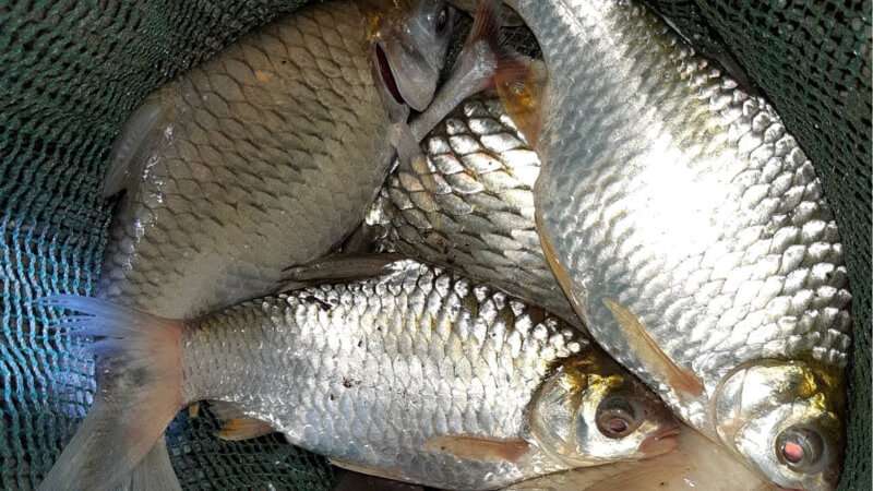 đầu tháng kiêng ăn gì