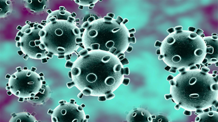 Virus corona là gì? Tìm hiểu chi tiết về virus corona