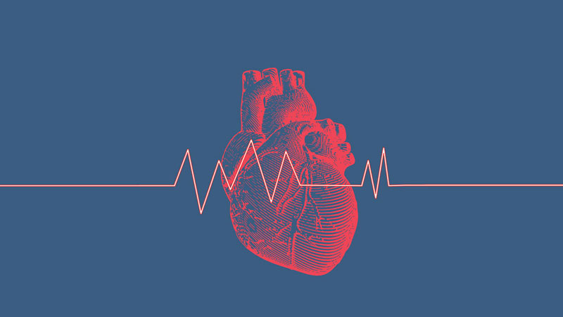 Tìm hiểu ngay: Nhịp tim trung bình của người lớn trưởng thành bình thường bao nhiêu?