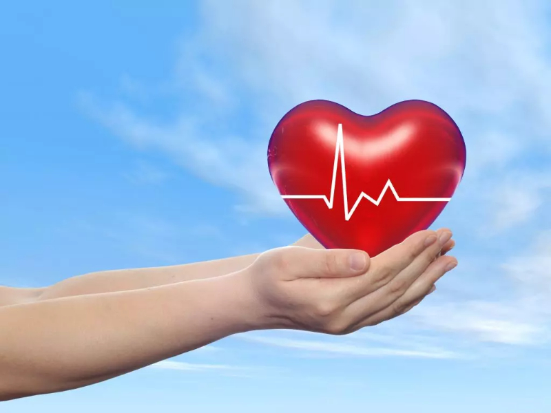 Nhịp tim trung bình của người lớn trưởng thành bình thường sẽ dao động trong khoảng 60 – 100 nhịp/phút.