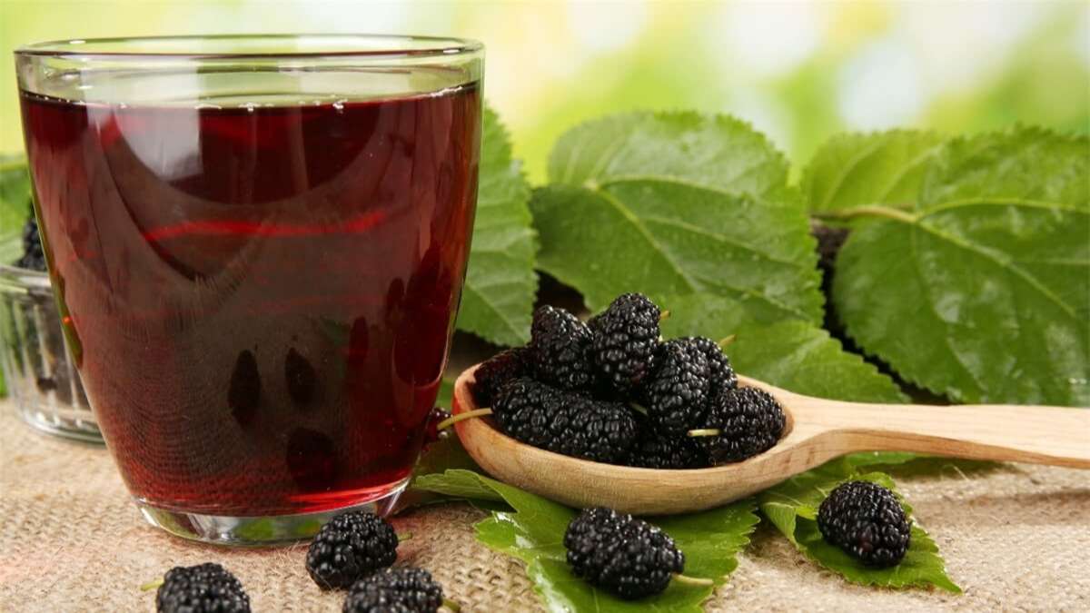 Nước lá dâu tằm trị mất ngủ