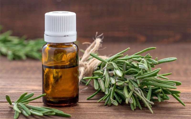 Tinh dầu hương thảo ngăn chặn rụng tóc