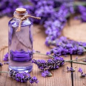 Massage Với Tinh Dầu Oải Hương Giảm Lo Âu