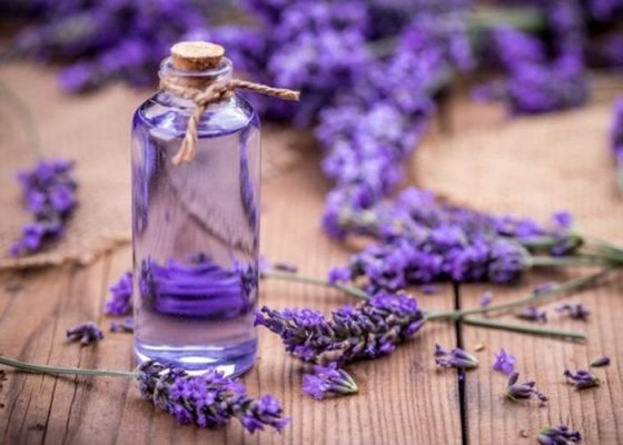 Massage Với Tinh Dầu Oải Hương Giảm Lo Âu