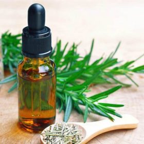 Lợi Ích Của Cây Hương Thảo