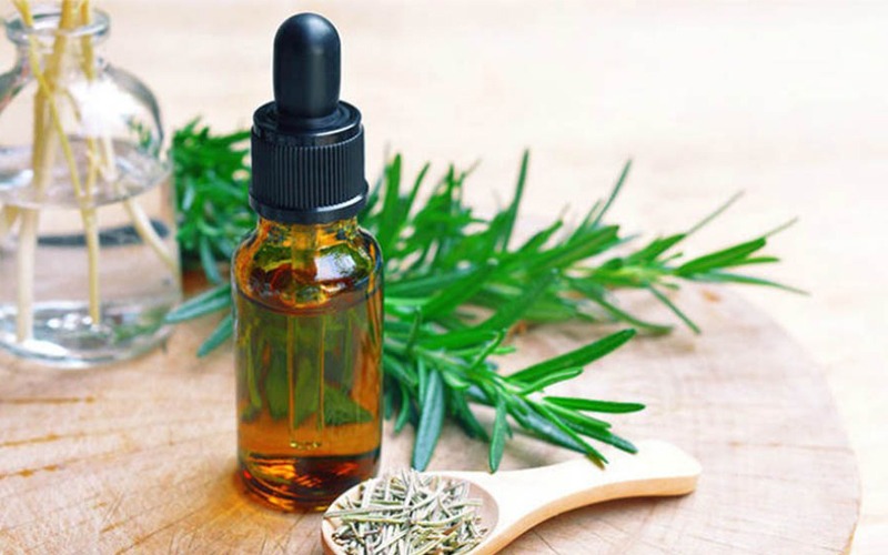 Lợi Ích Của Cây Hương Thảo