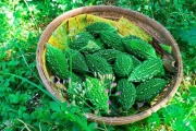 Ăn mướp đắng có tác dụng gì cho sức khỏe con người?