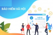 Bảo hiểm xã hội là gì? Và có nhiêu loại bảo hiểm xã hội