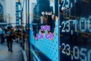 FPI là gì? Những kiến thức liên quan cần nắm về FPI