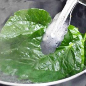 Tìm hiểu uống nước lá trầu không có hại không?
