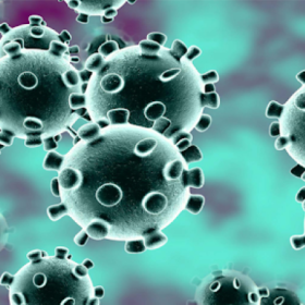Virus corona là gì? Tìm hiểu chi tiết về virus corona