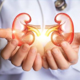 Góc giải đáp: Ăn gì bổ thận?