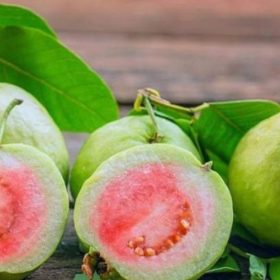 Top 7 tác dụng khi ăn ổi rất tốt cho cơ thể