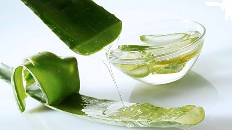 Uống nha đam sống có tác dụng gì đối với cơ thể?