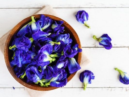 9 công dụng hoa đậu biếc đối với sức khỏe