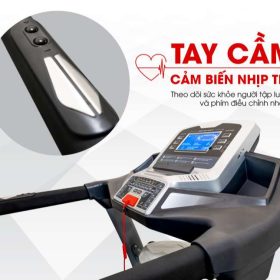 Bỏ túi địa chỉ mua máy chạy bộ ở Thừa Thiên Huế uy tín