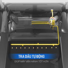 Mua máy chạy bộ ở Trà Vinh tại đâu uy tín, giá rẻ, chất lượng nhất?