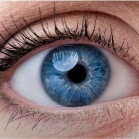 Tìm hiểu chi tiết bệnh mù mắt nguyên nhân, triệu chứng, chẩn đoán và điều trị