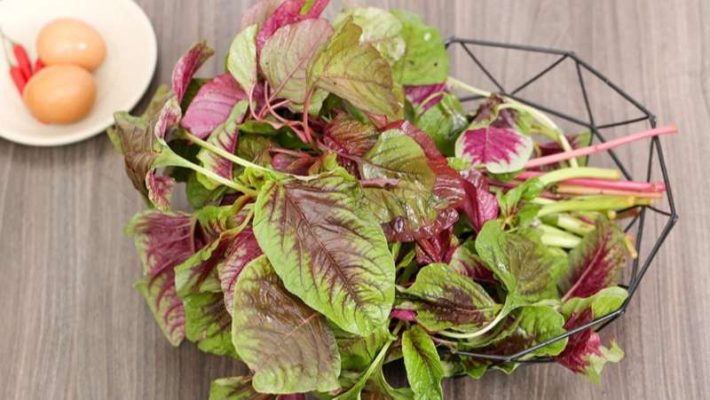 Giải đáp: Rau dền bao nhiêu Calo? Ăn rau dền có tốt không?