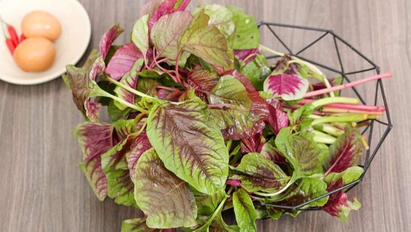 Giải đáp: Rau dền bao nhiêu Calo? Ăn rau dền có tốt không?