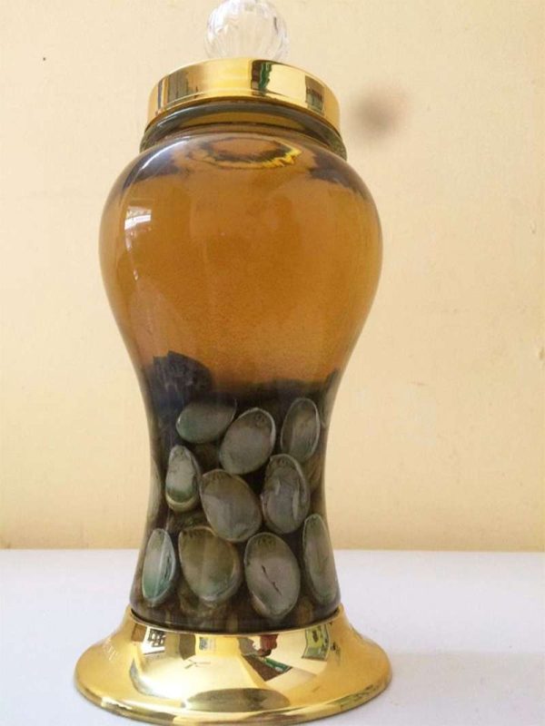 Bật mí các tác dụng của bào ngư, vỏ bào ngư, bào ngư ngâm rượu