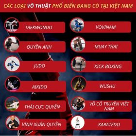 Tìm hiểu các loại võ thuật đang có tại Việt Nam chi tiết từ A-Z