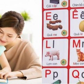 Mách bạn top 10 bí kíp giúp bé học thuộc bảng chữ cái nhanh nhất