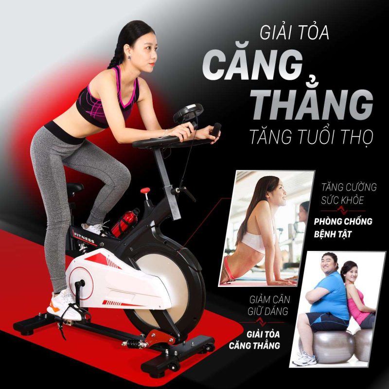 Mua xe đạp tập thể dục ở Bạc Liêu có uy tín?
