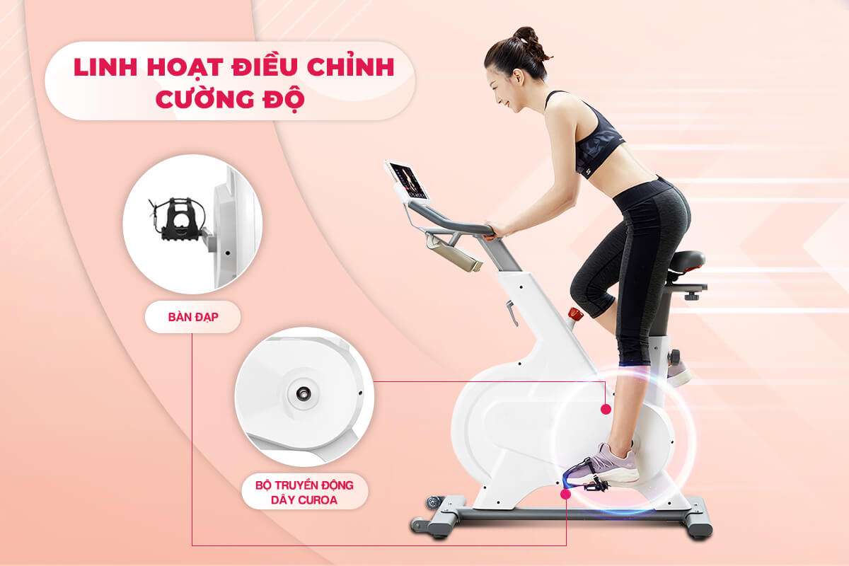 Nên mua xe đạp tập thể dục ở Quảng Ngãi nơi đâu hợp lý nhất?
