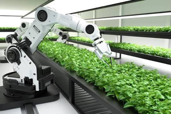 Nhà cung cấp robot công nghiệp uy tín tại Việt Nam